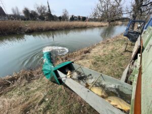 c8d97cb4 bc9b 4914 a9b8 b44469441197