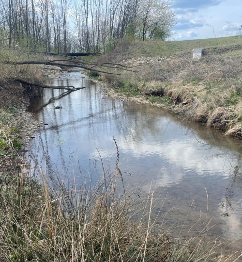 0156db3b 84b6 4996 a236 4e7957a5cb6f