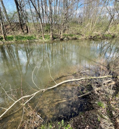 3bd4894b 2718 4e9a 9ce5 7190e50d9136