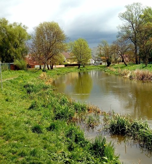 rybnik lavor reka morava zdenek hanko 08